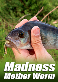 Палочка-выручалочка – обзор приманки Madness Mother Worm.