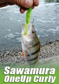 Обзор Sawamura OneUp Curly – новое направление