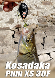 Обзор Kosadaka Pum XS 30F – самый маленький малыш.