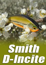 Фавориты. Сточённый таган. Обзор Smith D-Incite 53 S.