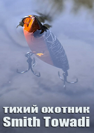 Обзор Smith Towadi – тихий охотник за поверхностным голавлем