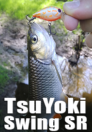 Обзор TsuYoki Swing SR 35F. SSR-кренк для всех