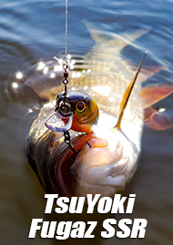 Обзор TsuYoki Fugaz SSR 42F - универсальный крэнк