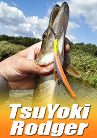 Обзор воблера TsuYoki Rodger.
