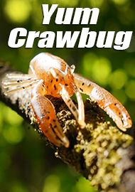 Обзор мягкой приманки Yum F2 Crawbug 2.25