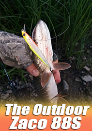 Мелководный разбойник - Обзор The Outdoor Zaco 88S.