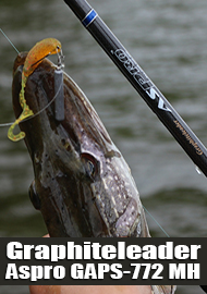 Graphiteleader Aspro GAPS-772 MH. Отличная палочка для моих условий.