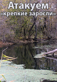 Атакуем «крепкие заросли»