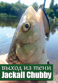Фавориты. Выход из тени Jackall Chubby Minnow 35 .