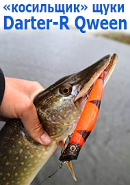 Мелководный «косильщик» щуки Darter-R Qween. Обзор