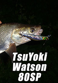 Фавориты. А теперь горбатый. Обзор TsuYoki Watson 80SP.