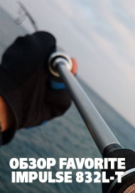 Обзор Favorite Impulse 832L-T