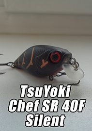 Фавориты. Два часа отчаяния. Обзор TsuYoki Chef SR 40F Silent.