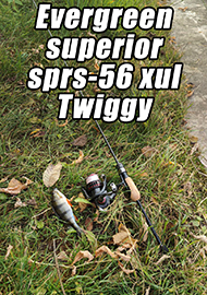 Что-то на богатом. Обзор Evergreen superior sprs-56 xul Twiggy