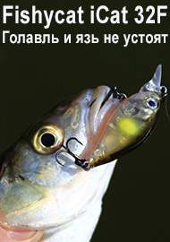 Обзор Fishycat iCat 32F. Голавль и язь не устоят.