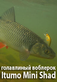 Бюджетный голавлиный воблерок Itumo Mini Shad 45SP. Обзор