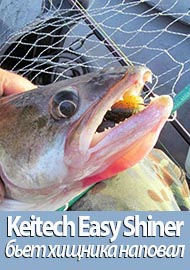 Бьет хищника наповал. Обзор виброхвоста Keitech Easy Shiner