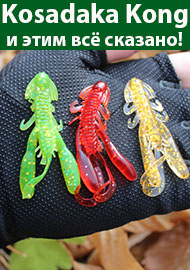 Kosadaka Kong и этим всё сказано! Обзор