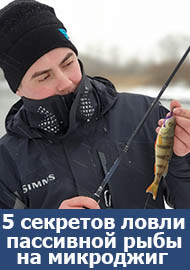 5 секретов ловли пассивной рыбы на микроджиг