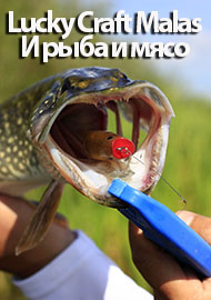 Lucky Craft Malas. И рыба и мясо.