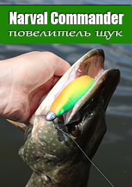 Narval Commander Shad. Щуками можно командовать!