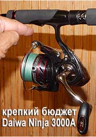 Ninja 3000A - крепкий бюджет от Daiwa. Обзор безынерционной катушки.