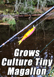 Обзор Grows Culture Tiny Magallon. Свой среди подобных