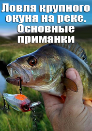 Ловля крупного окуня на реке: мои основные приманки