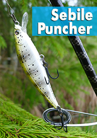 Обзор Sebile Puncher. Узкая специализация и широкая универсальность