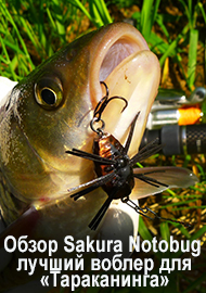 Обзор Sakura Notobug - лучший воблер для «Тараканинга»