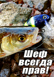 Шеф всегда прав!