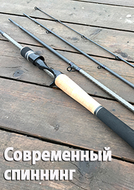 Современный спиннинг. Виды, особенности, проблема выбора.
