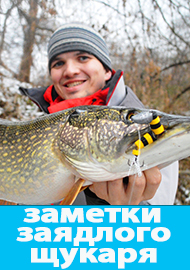 Заметки заядлого «щукаря»