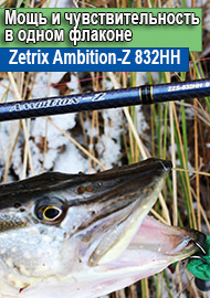 Мощь и чувствительность в одном флаконе. Обзор Zetrix Ambition-Z 832HH.