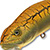 Воблер Asakura Bullhead DR-F 210