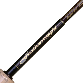 Спиннинг Daiko Featherweight