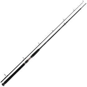 Спиннинг Daiwa Exceler Catfish CF Spin (2.05м; 185г)