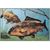 Коврик Delphin 3D Carps Underwater Rug - 60x40cm