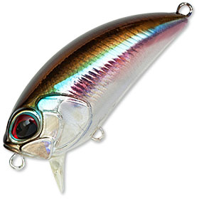 Воблер DUO Realis Crank 48SR (7,0г) D13