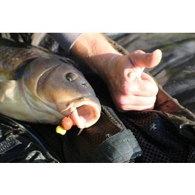 Плавающие насадки Evolution Carp Tackle Dumb Bell System