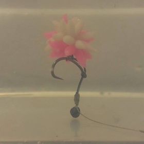 Плавающие насадки Evolution Carp Tackle Maggot Ball Baits