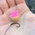Плавающие насадки Evolution Carp Tackle Maggot Ball Clusters
