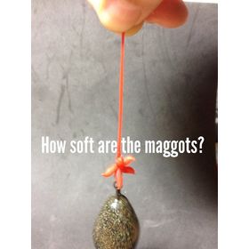 Плавающие насадки Evolution Carp Tackle Maggot Ball Clusters