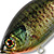 Воблер Jackall Gillcra 60 (12,2 г) rt bluegill