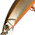 Воблер Jackall Tricoroll 67F silver & black