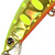 Воблер Jackall Tricoroll 67F chart yamame