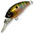 Воблер Kosadaka Roger Dive 32F (2,8г) PNT