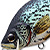 Воблер LiveTarget Crappie Flat Side Crankbait 100 Natural/Matte