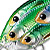 Воблер LiveTarget Yearling Squarebill 817 Blue/Chartreuse Shad