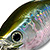 Воблер Lucky Craft Fat CB SR (23г) 254 MS MJ Herring